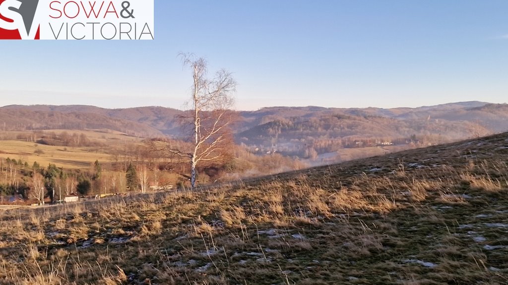 Działka inna na sprzedaż Zagórze Śląskie  32 000m2 Foto 9