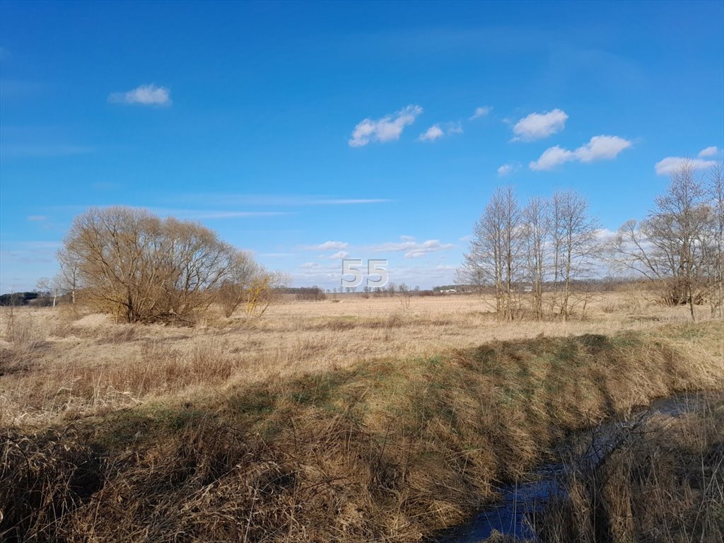 Działka inna na sprzedaż Jerwonice  1 470m2 Foto 6