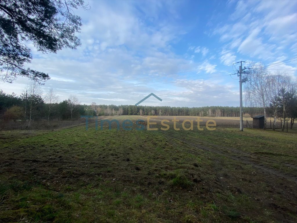 Działka budowlana na sprzedaż Ostrówek  5 700m2 Foto 8