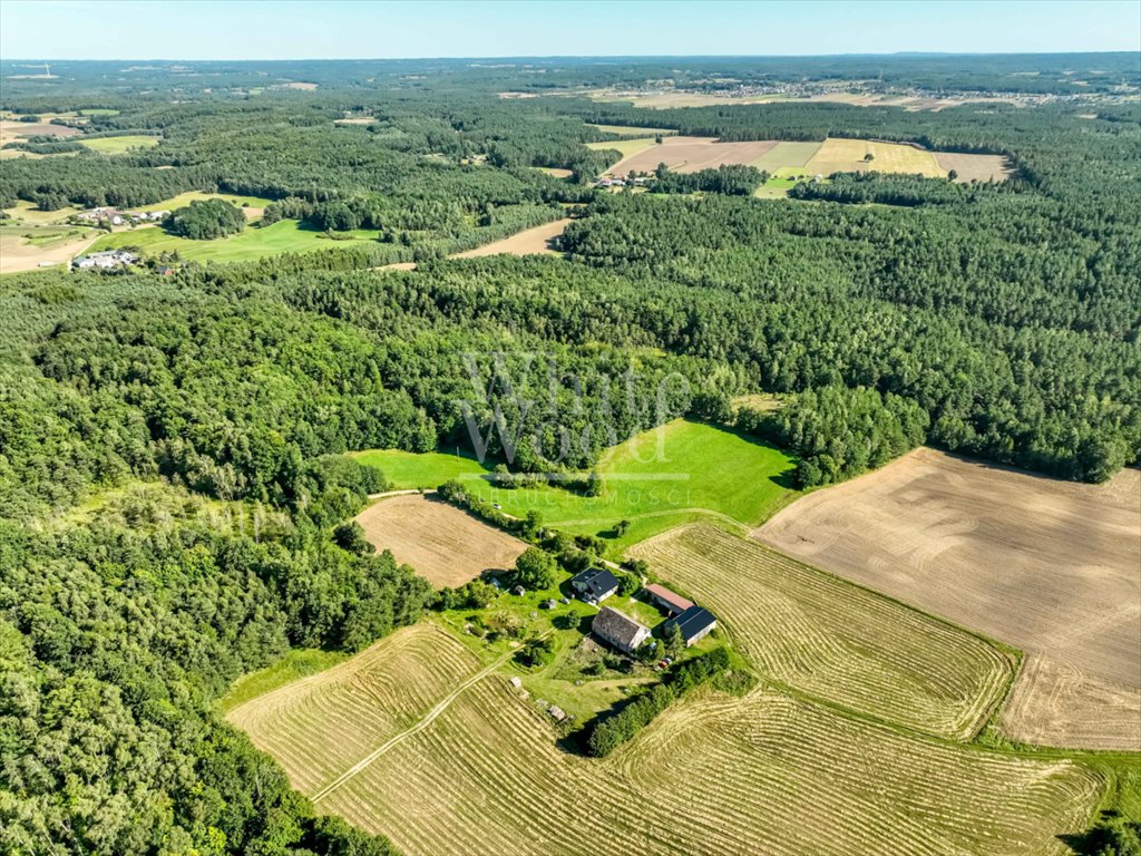 Działka rolna na sprzedaż Kętrzyno  453 100m2 Foto 5