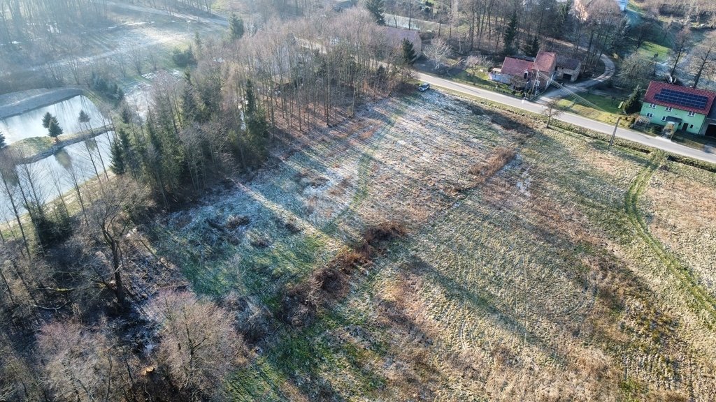 Działka budowlana na sprzedaż Gościszów  2 891m2 Foto 6