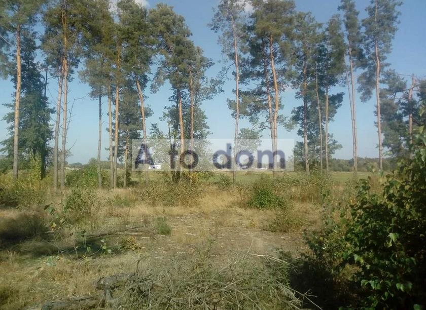 Działka rolna z lasem nad rzeką, 8 800 m², dojazd szutrem Nadbiel  8 800m2 Foto 1