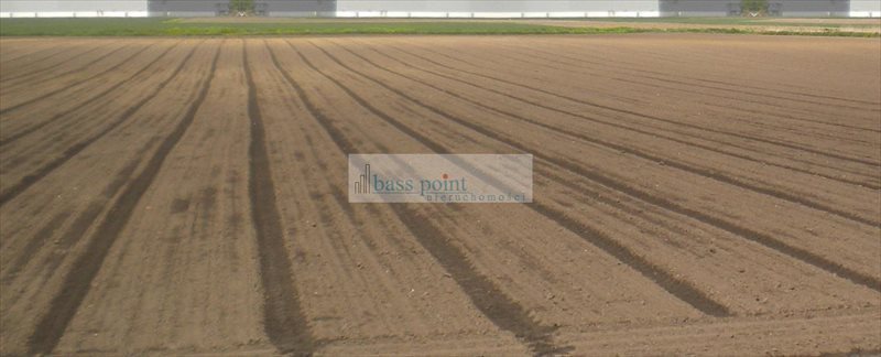 Działka usługowo-produkcyjna 20 000 m² przy drodze asfaltowej Ołtarzew  20 000m2 Foto 1