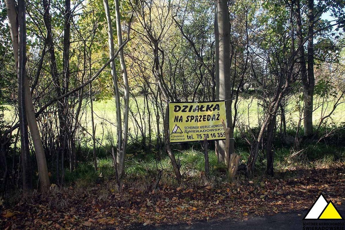 Działka budowlana na sprzedaż Antoniów, Antoniów  2 000m2 Foto 4