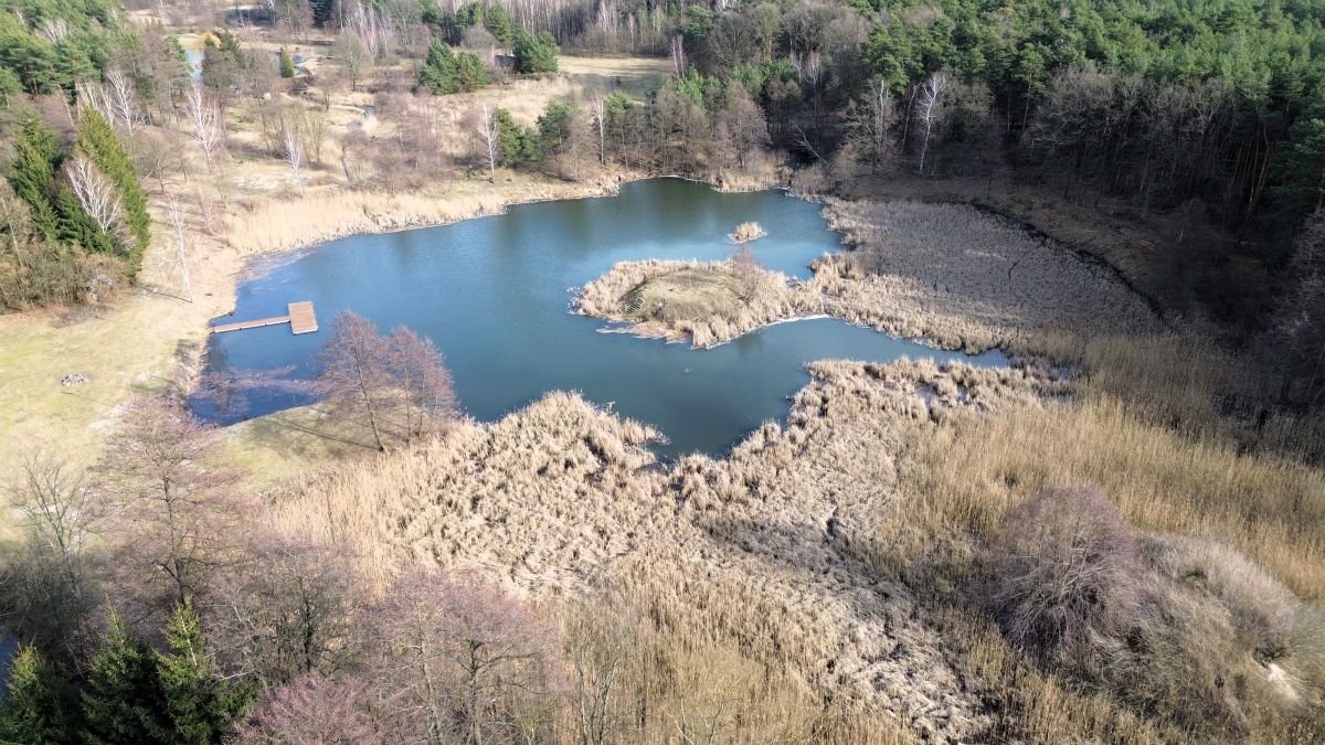 Lokal użytkowy na sprzedaż Tartak  52 600m2 Foto 35
