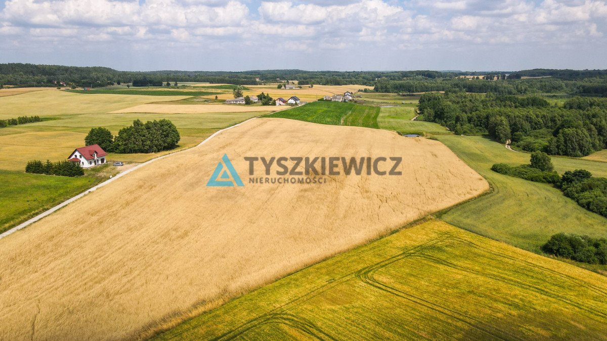 Działka rolna na sprzedaż Szczodrowo  38 300m2 Foto 9