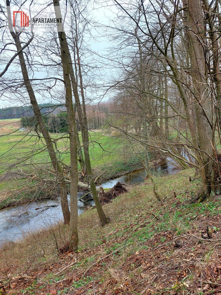 Działka budowlana na sprzedaż Żeleźnica  1 264m2 Foto 2