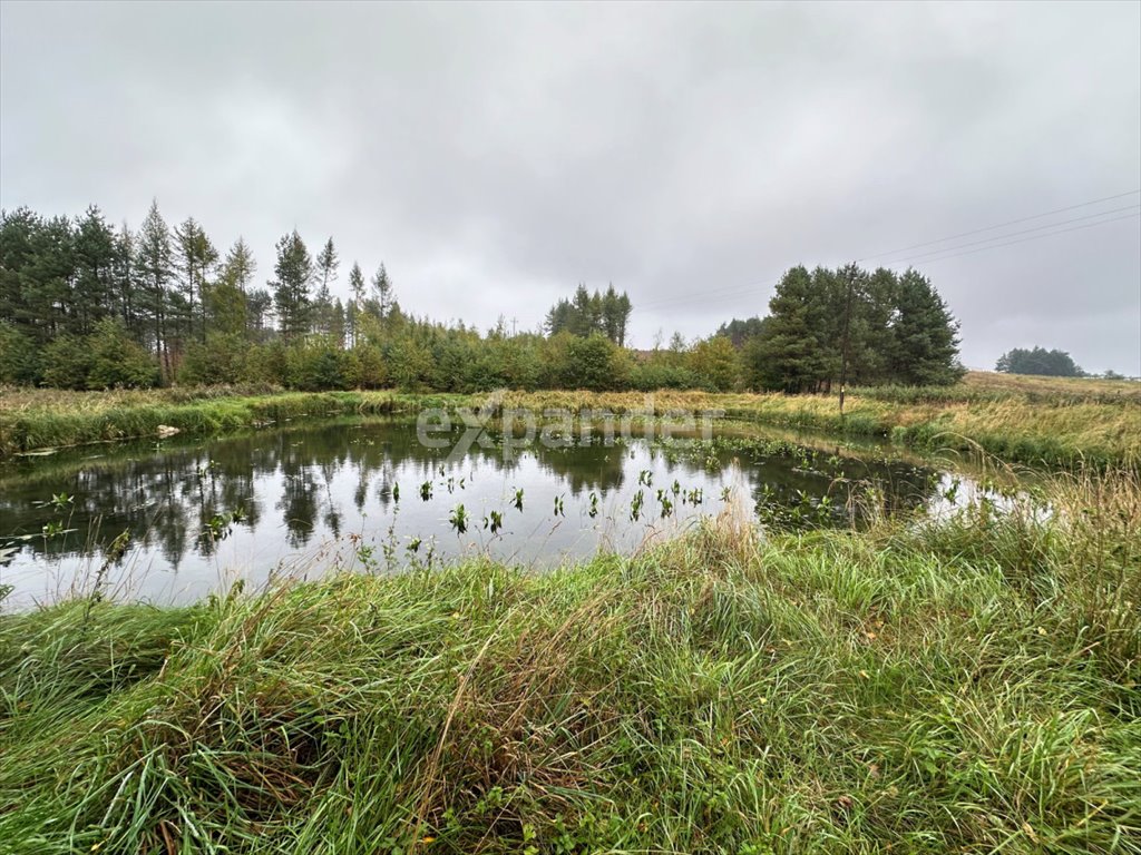 Działka budowlana na sprzedaż Libidza, Stawowa  9 000m2 Foto 5