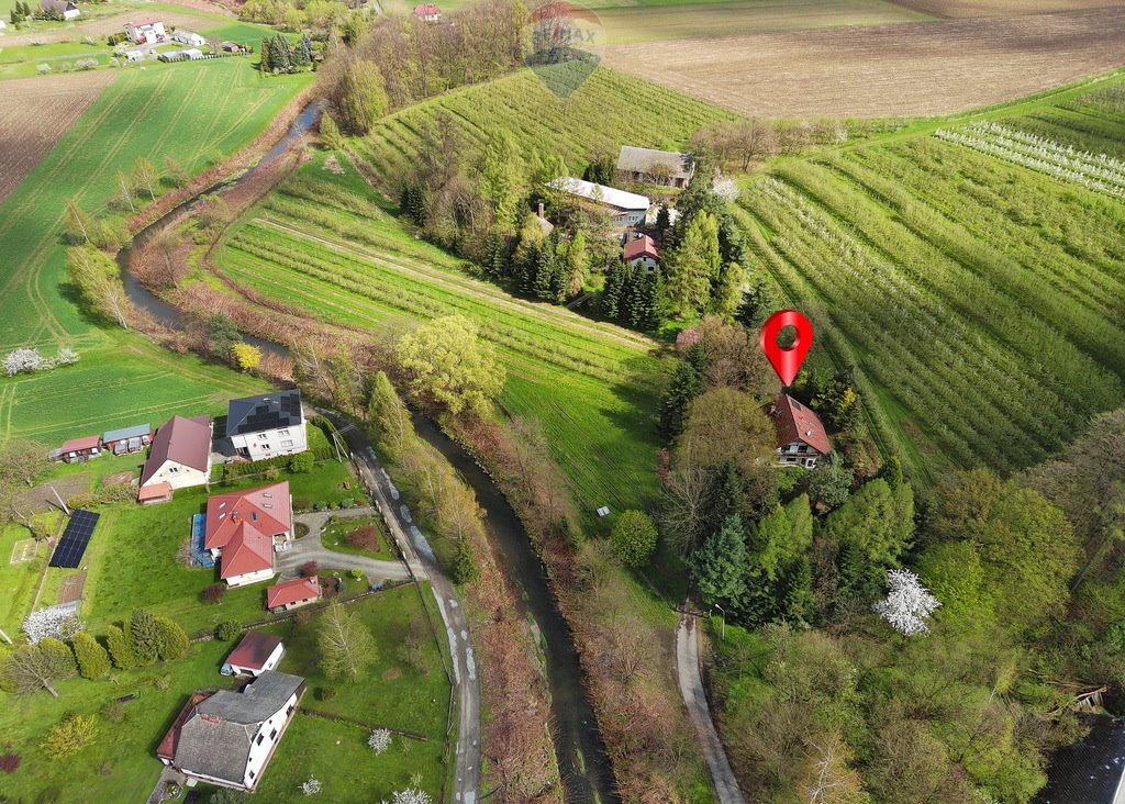 Działka inwestycyjna na sprzedaż Międzyrzecze Dolne  92 000m2 Foto 16