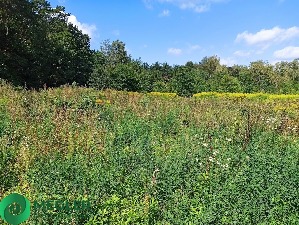 Działka budowlana na sprzedaż Granica  900m2 Foto 2