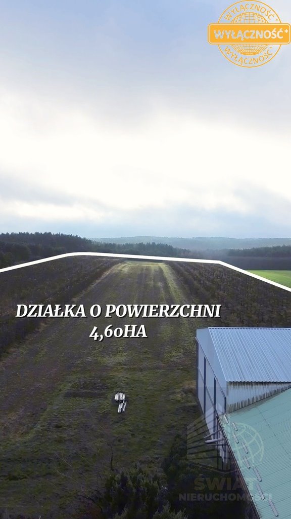 Magazyn na sprzedaż Dobiegniew  2 162m2 Foto 8