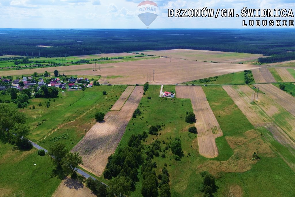 Działka rolna na sprzedaż Drzonów  20 314m2 Foto 18