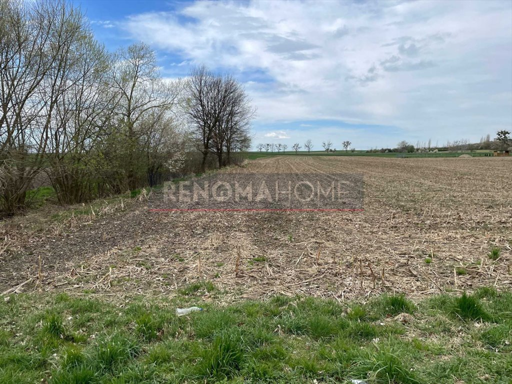 Działka budowlana na sprzedaż Drzemlikowice  10 000m2 Foto 1