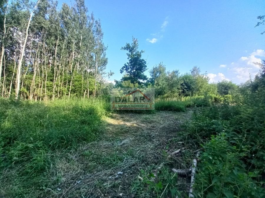 Działka rolna na sprzedaż Czersk, Tatary  18 200m2 Foto 11