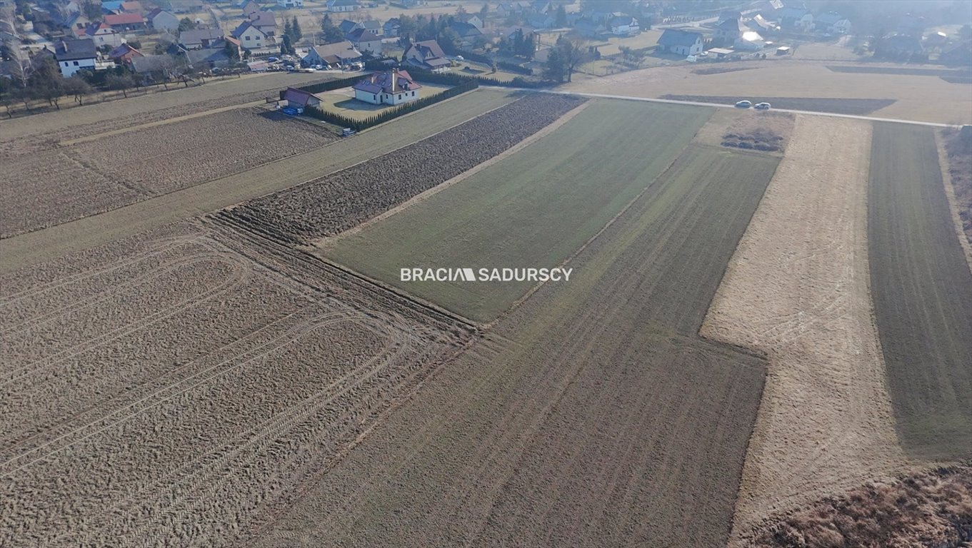Działka 7,7 ha z możliwością podziału, media, cisza Stanisławice, Stanisławice, Stanisławice  7 700m2 Foto 1