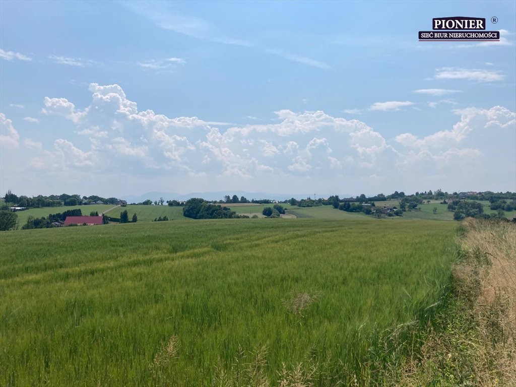 Działka rolna na sprzedaż Zamarski  70 000m2 Foto 1