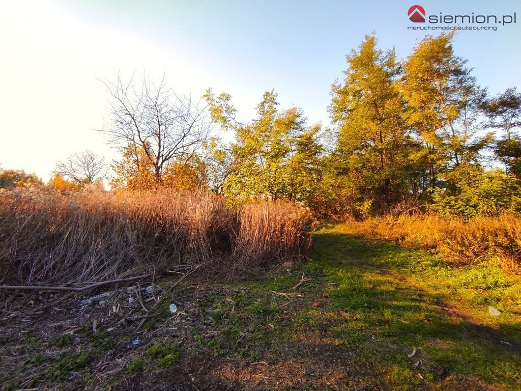 Działka inna na sprzedaż Wojkowice  1 191m2 Foto 5