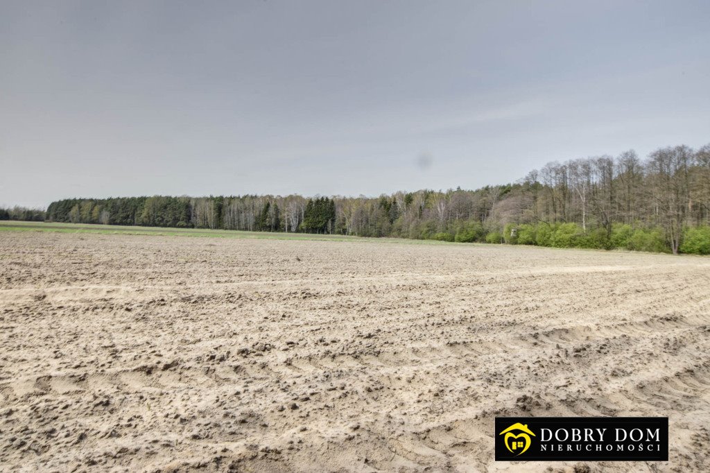 Działka rolna na sprzedaż Hołody  14 000m2 Foto 1