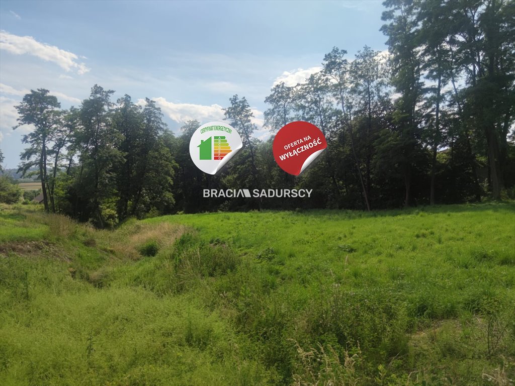 Działka budowlana na sprzedaż Biskupice, Zabłocie  3 000m2 Foto 16