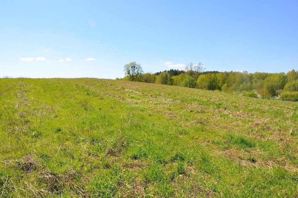 Działka budowlana na sprzedaż Medyny  1 005m2 Foto 4