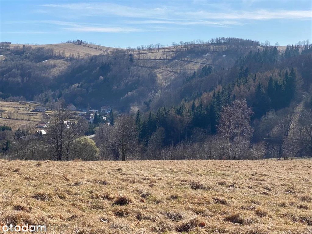 Działka rolna na sprzedaż Walim, Adama Mickiewicza  3 566m2 Foto 2