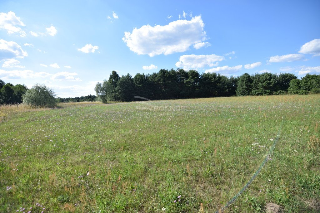 Działka budowlana na sprzedaż Czartoria  3 000m2 Foto 14