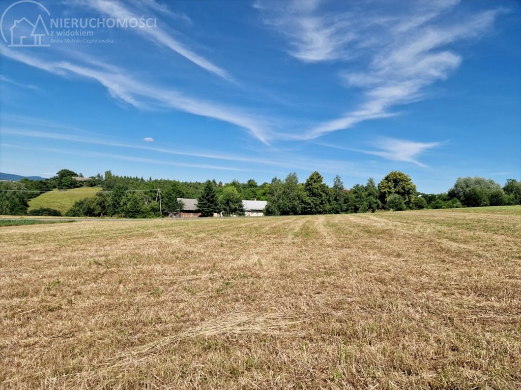 Działka budowlana na sprzedaż Turza  2 400m2 Foto 3