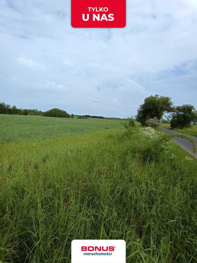 Działka rolna 35 500 m² z możliwością wykorzystania pod fotowoltaikę Myśliborzyce  35 500m2 Foto 1