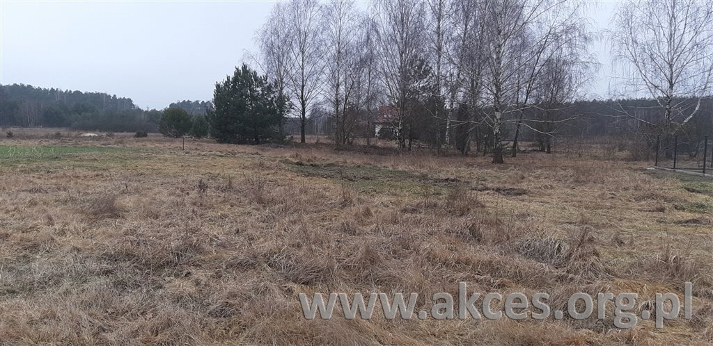 Działka 3060 m² pod zabudowę (Marianów, media w ulicy) Marianów  3 060m2 Foto 1