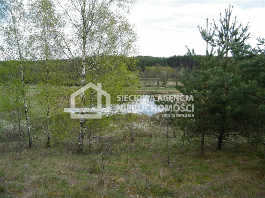 Działka leśna 20 250 m² z dostępem do Wdy, las i łąka Huta Kalna  20 250m2 Foto 1