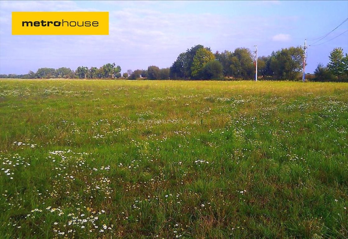 Działka inna na sprzedaż Borkowice  1 212m2 Foto 1