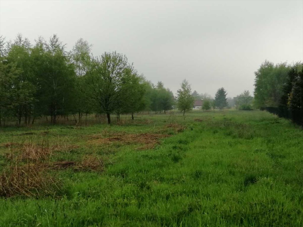 Działka inna na sprzedaż Skawina  5 400m2 Foto 1