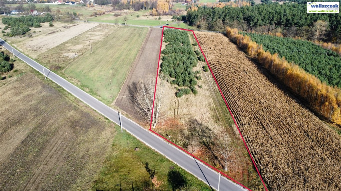 Działka 7996 m² z warunkami zabudowy, szeroka 32 m Daniszewice  7 996m2 Foto 1
