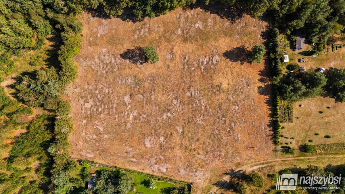 Działka budowlana na sprzedaż Krępsko, Dębowa  1 141m2 Foto 4