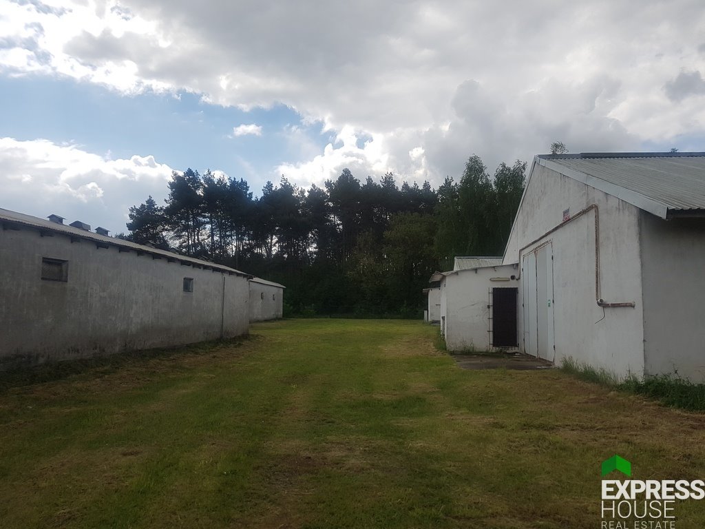 Lokal użytkowy na sprzedaż Skwierzyna, Spokojna  5 200m2 Foto 3