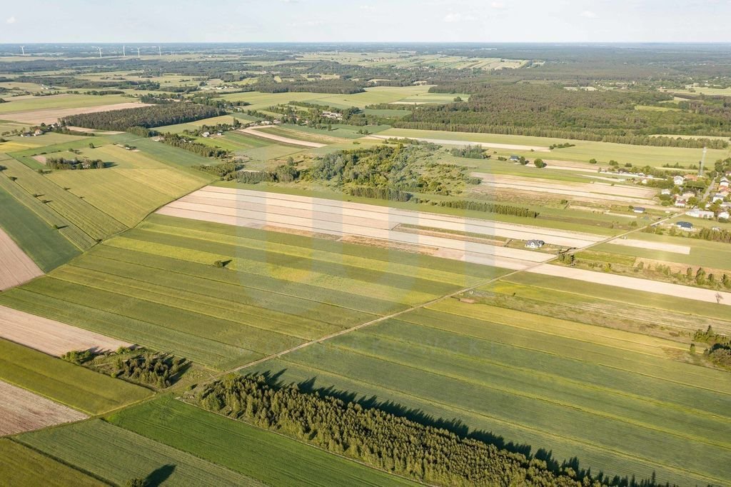 Działka rolna na sprzedaż Błogosławie  10 300m2 Foto 9