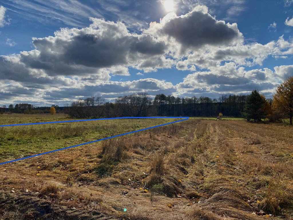 Działka 2300 m² w Sasiny, bez sąsiadów - polecam! Sasiny  2 300m2 Foto 1