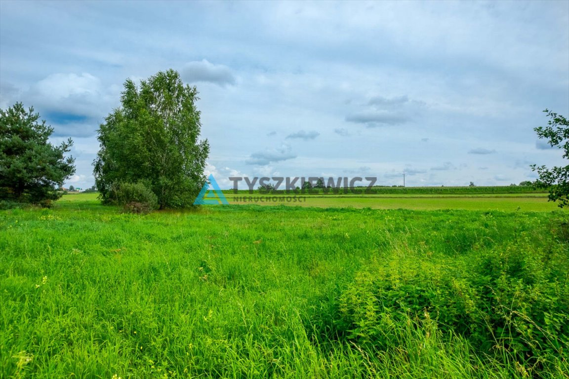 Działka budowlana na sprzedaż Stara Kiszewa, Słoneczna  1 311m2 Foto 11