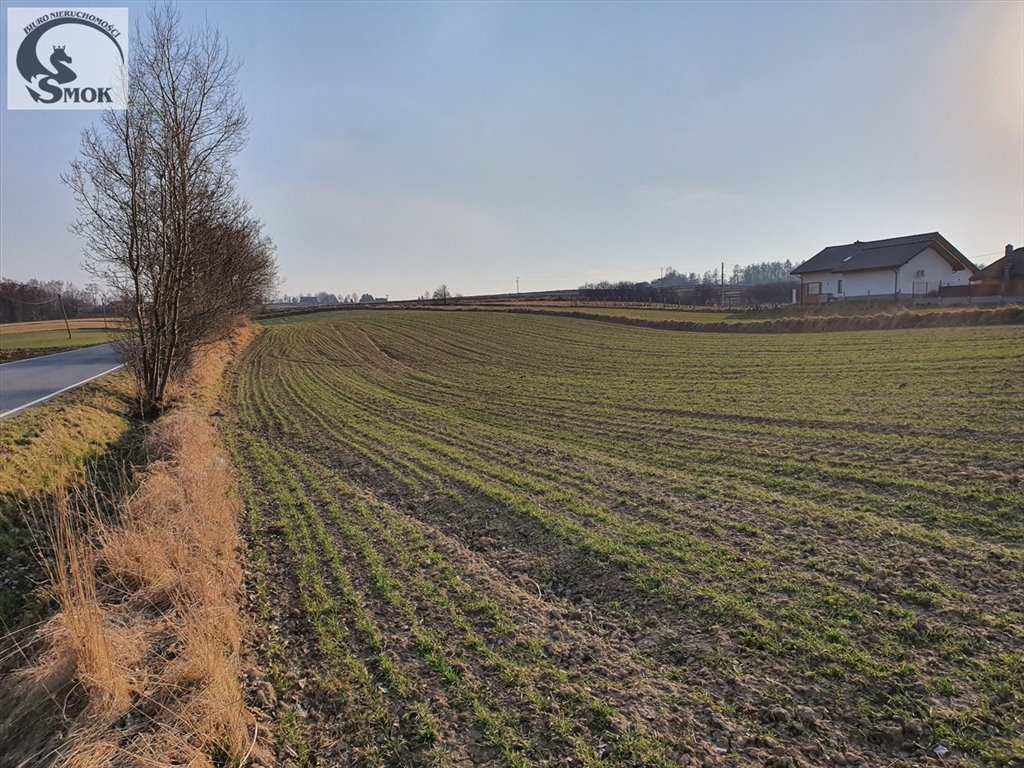 Działka siedliskowa na sprzedaż Wilków  1 600m2 Foto 4