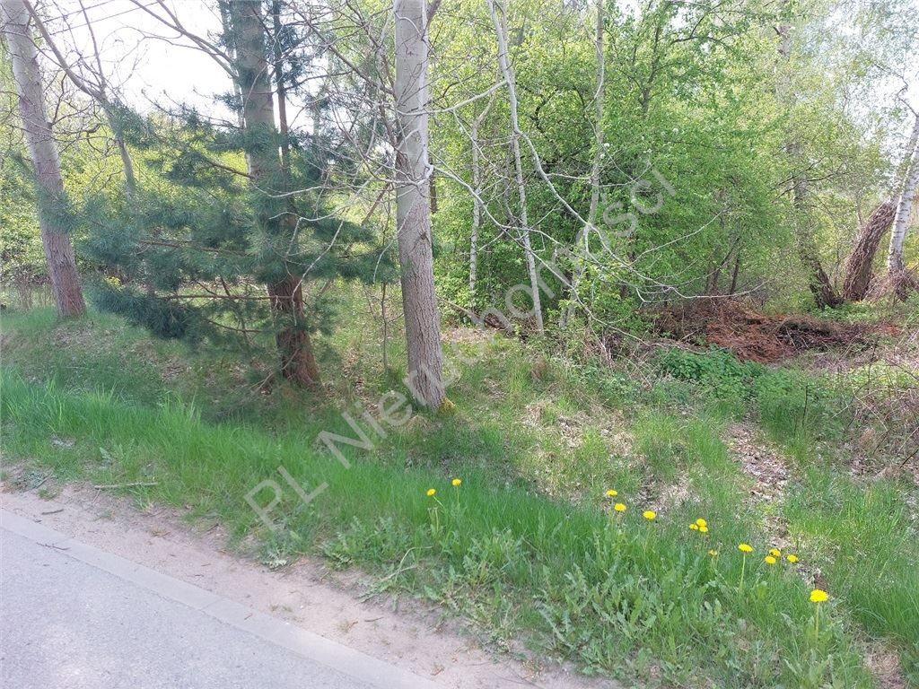 Działka budowlana 2214 m² z mediami i dojazdem asfaltowym Zalesie  2 214m2 Foto 1