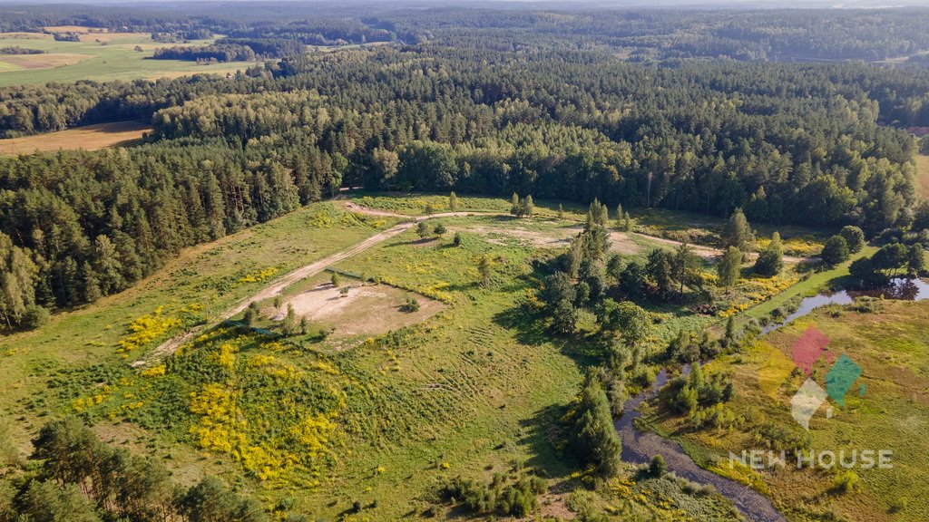 Działka budowlana na sprzedaż Dorotowo  3 811m2 Foto 7