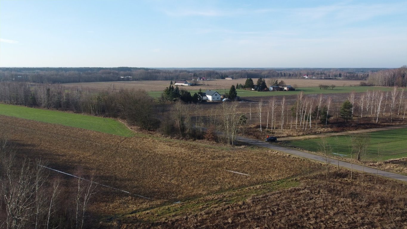 Działka budowlana na sprzedaż Nowe Miasto-Folwark  3 000m2 Foto 16