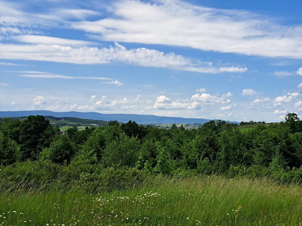 Działka leśna na sprzedaż Podniebyle  6 089m2 Foto 8