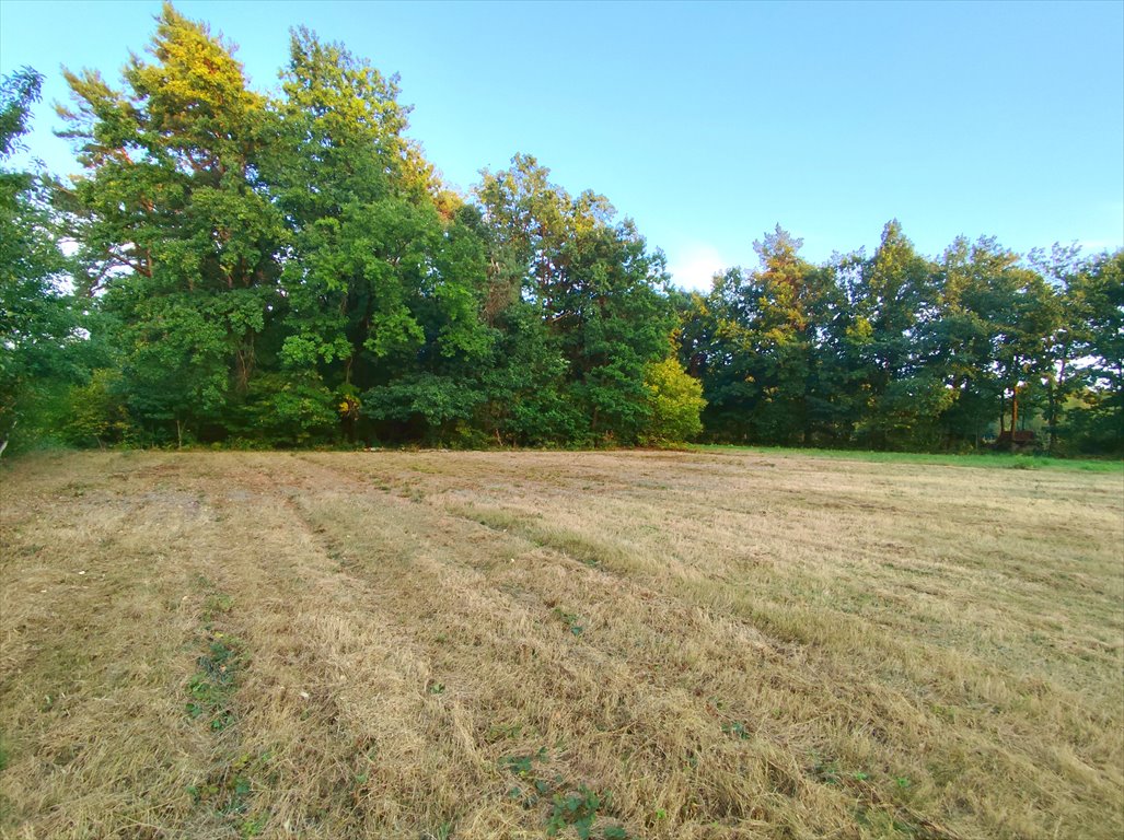 Działka budowlana na sprzedaż Kazimierz Dolny  2 670m2 Foto 1