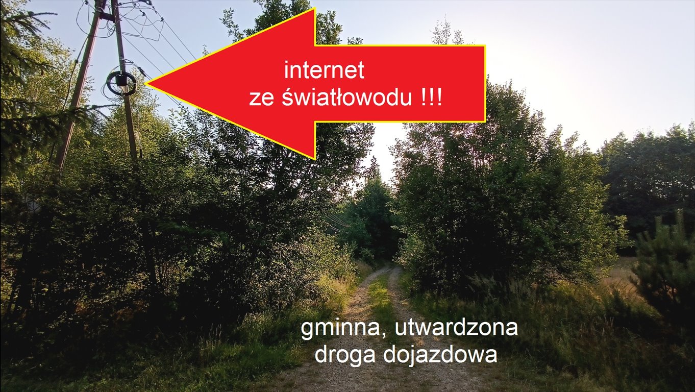 Dom na sprzedaż Dziewiątle  50m2 Foto 11