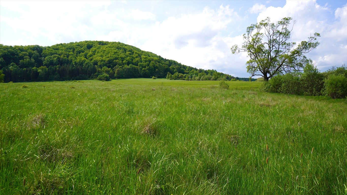 Działka inna na sprzedaż Hańczowa  10 000m2 Foto 1