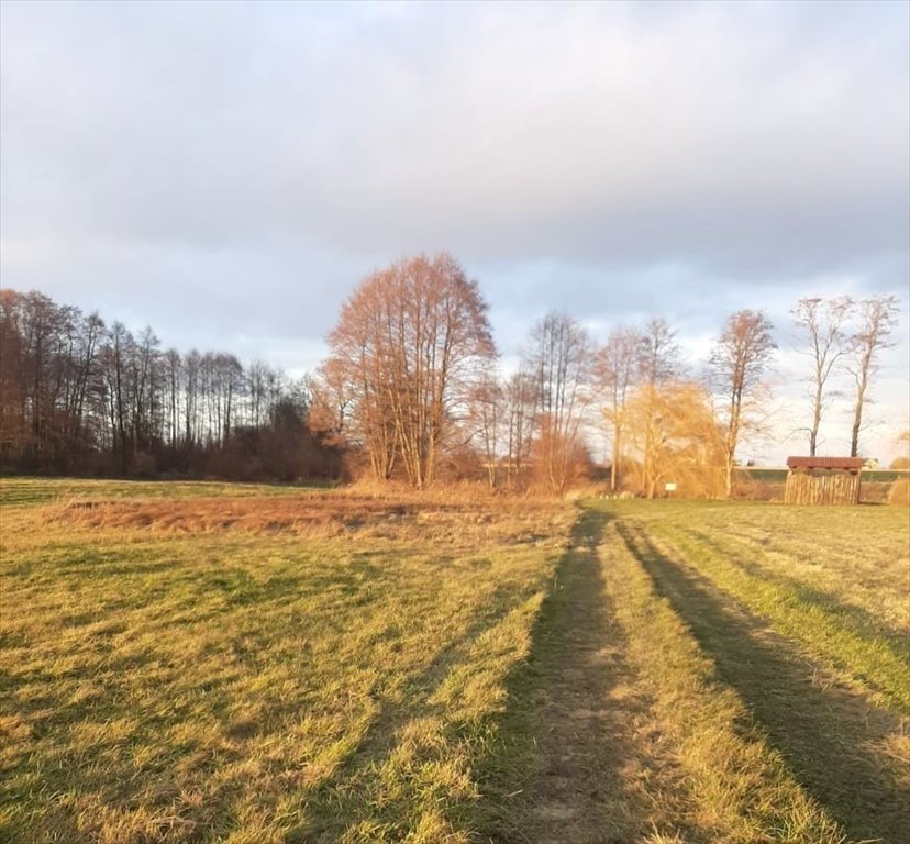 Działka inna na sprzedaż Dziadkowice  3 100m2 Foto 3