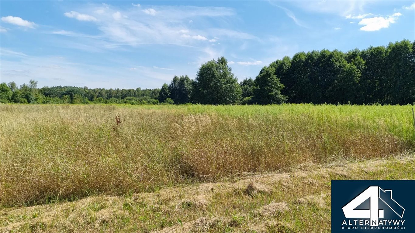 Polecam dużą działkę 8976 m² z lasem, blisko Łodzi Chociszew, 40  8 976m2 Foto 1