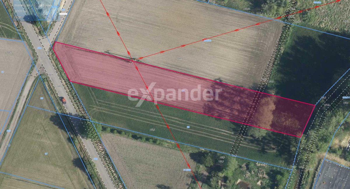 Działka pod dom z dostępem do rzeki i lasu, 2493 m² Dziekaństwo, Rzeczna  2 493m2 Foto 1