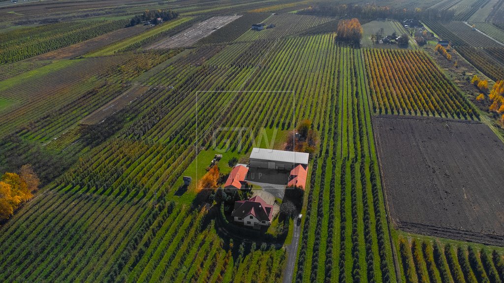 Dom na sprzedaż Nowa Długowola  220m2 Foto 5